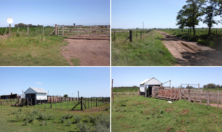 Campo Agricola Ganadero foto 1