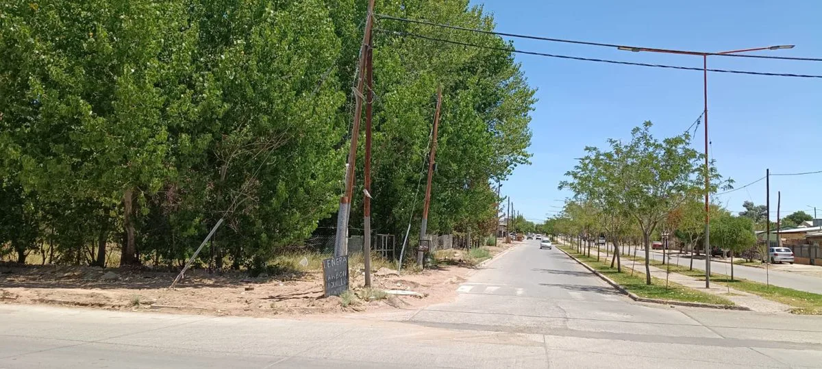 Lote 4870 m2,  muy arbolado y casa, Pza. Huincul foto 2
