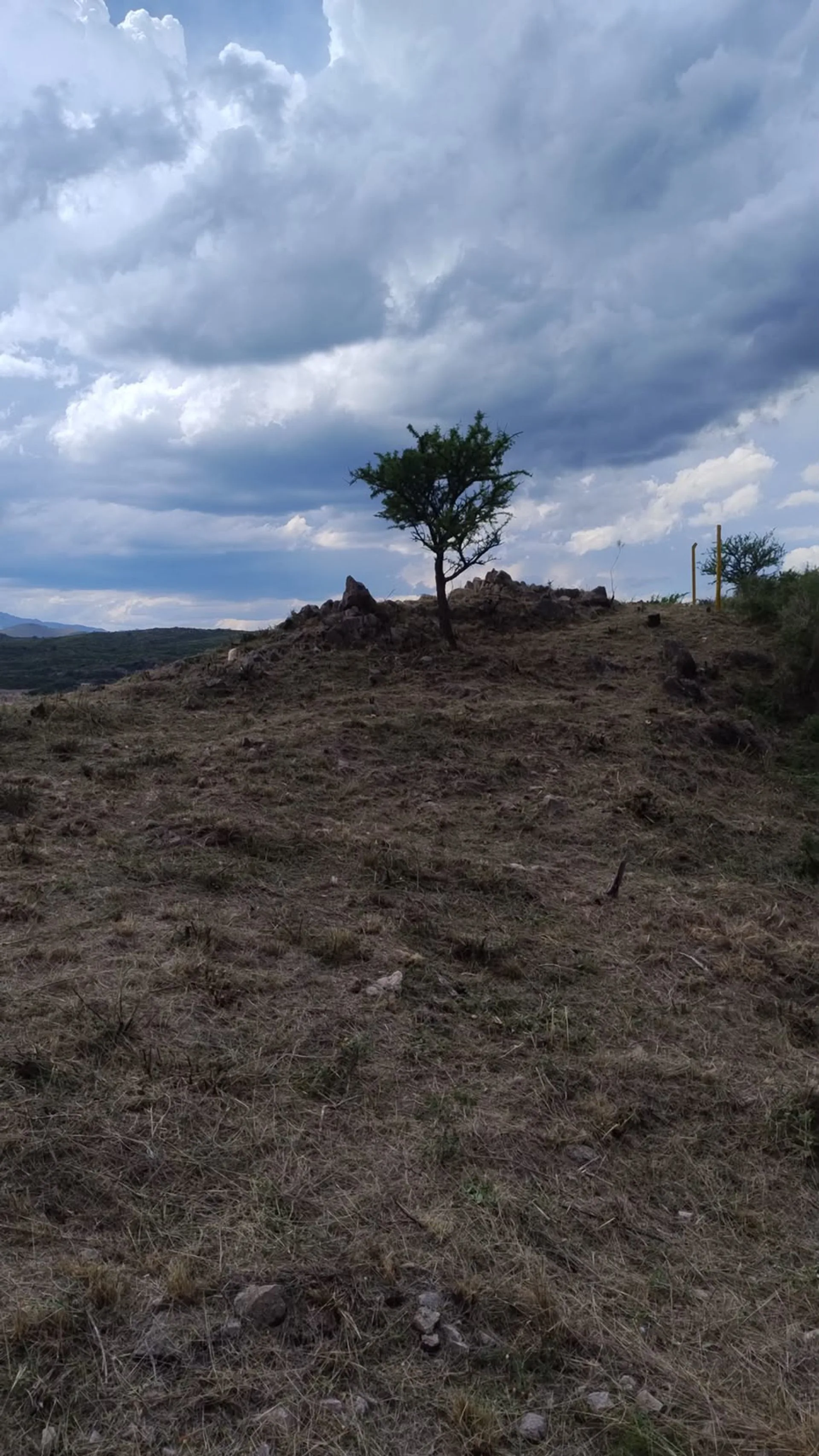 TERRENO EN VENTA A ORILLAS DE DIQUE CRUZ DE PIEDRA foto 4
