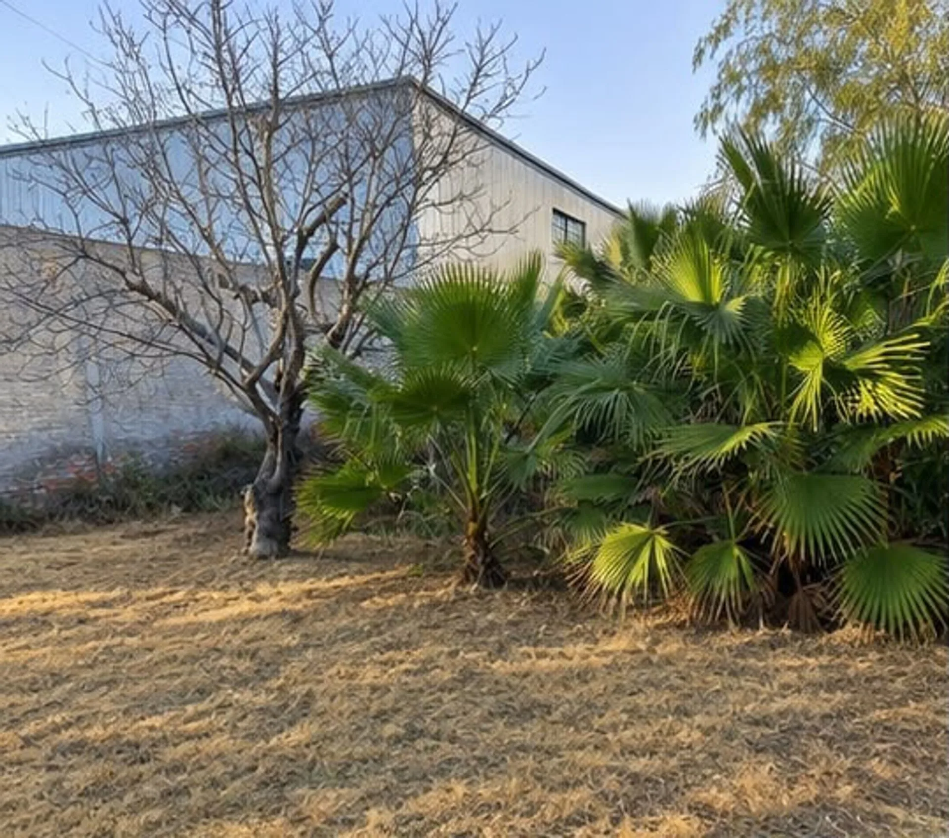 TERRENO EN LAS HERAS - ÁLVAREZ CONDARCO Y CONS. foto 3