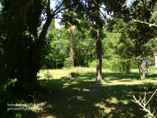 Lote en venta Gral. Rodriguez B Hermoso parada la mami Piccardo foto 2