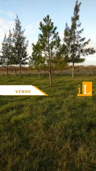 LOTES EN VENTA EN B° LAS ACACIAS SOBRE RUTA 210 foto 1