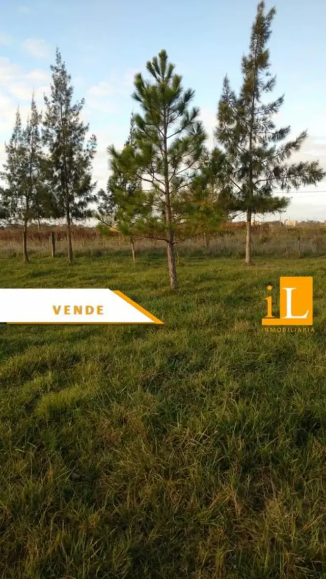 LOTES EN VENTA EN B° LAS ACACIAS SOBRE RUTA 210