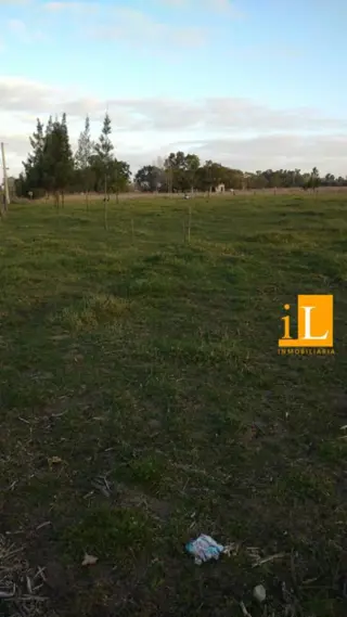 LOTES EN VENTA EN B° LAS ACACIAS SOBRE RUTA 210 foto 2