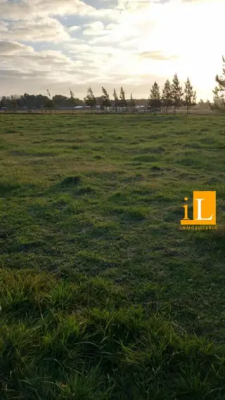 LOTES EN VENTA EN B° LAS ACACIAS SOBRE RUTA 210 foto 5