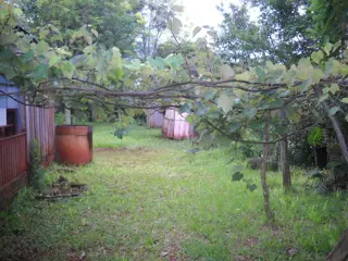 VENDO / PERMUTO - 12,5 Has Gral. Alvear - Prov. de Misiones foto 2