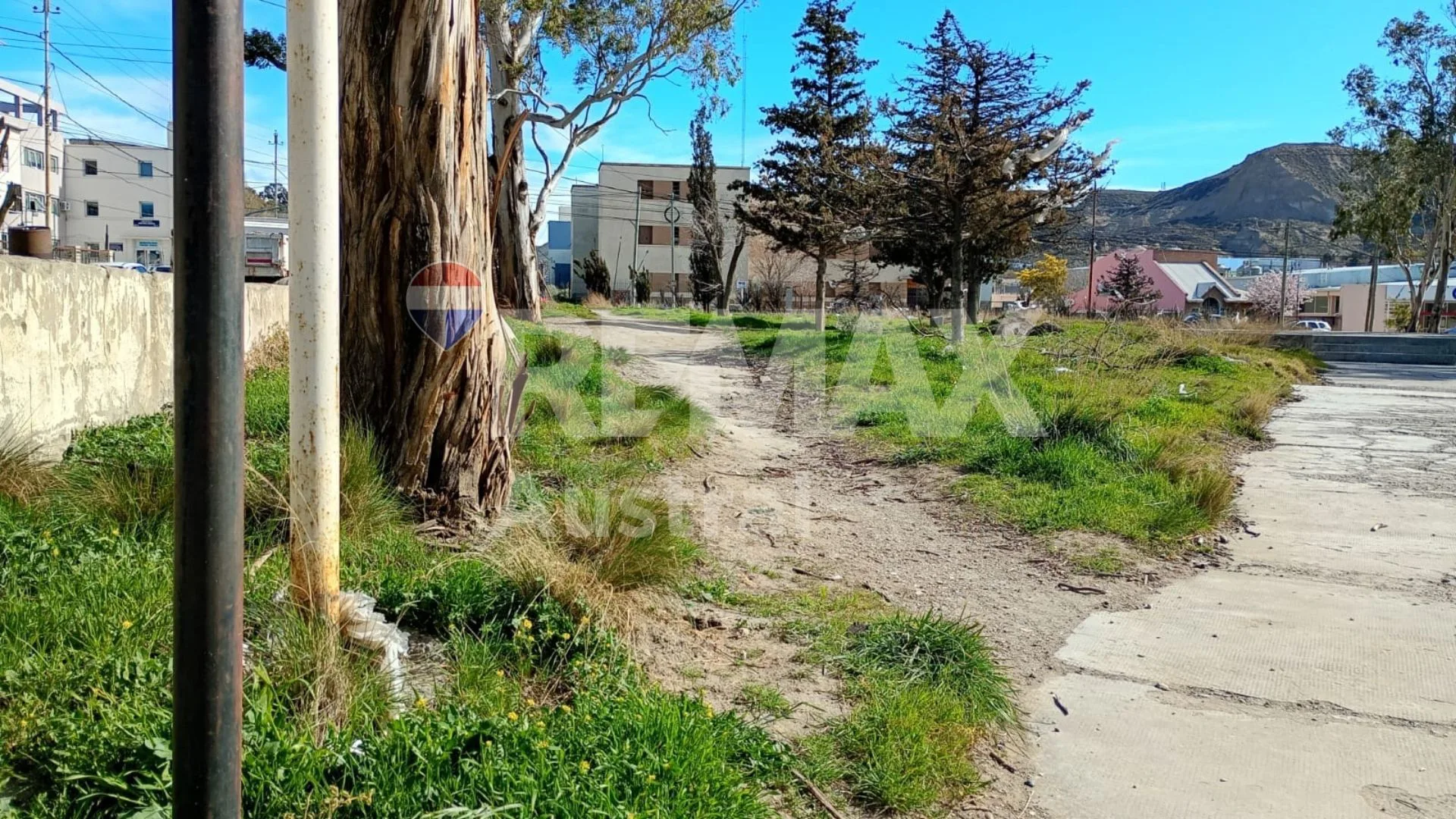 9 LOTES RESIDENCIALES EN KM 3 foto 5