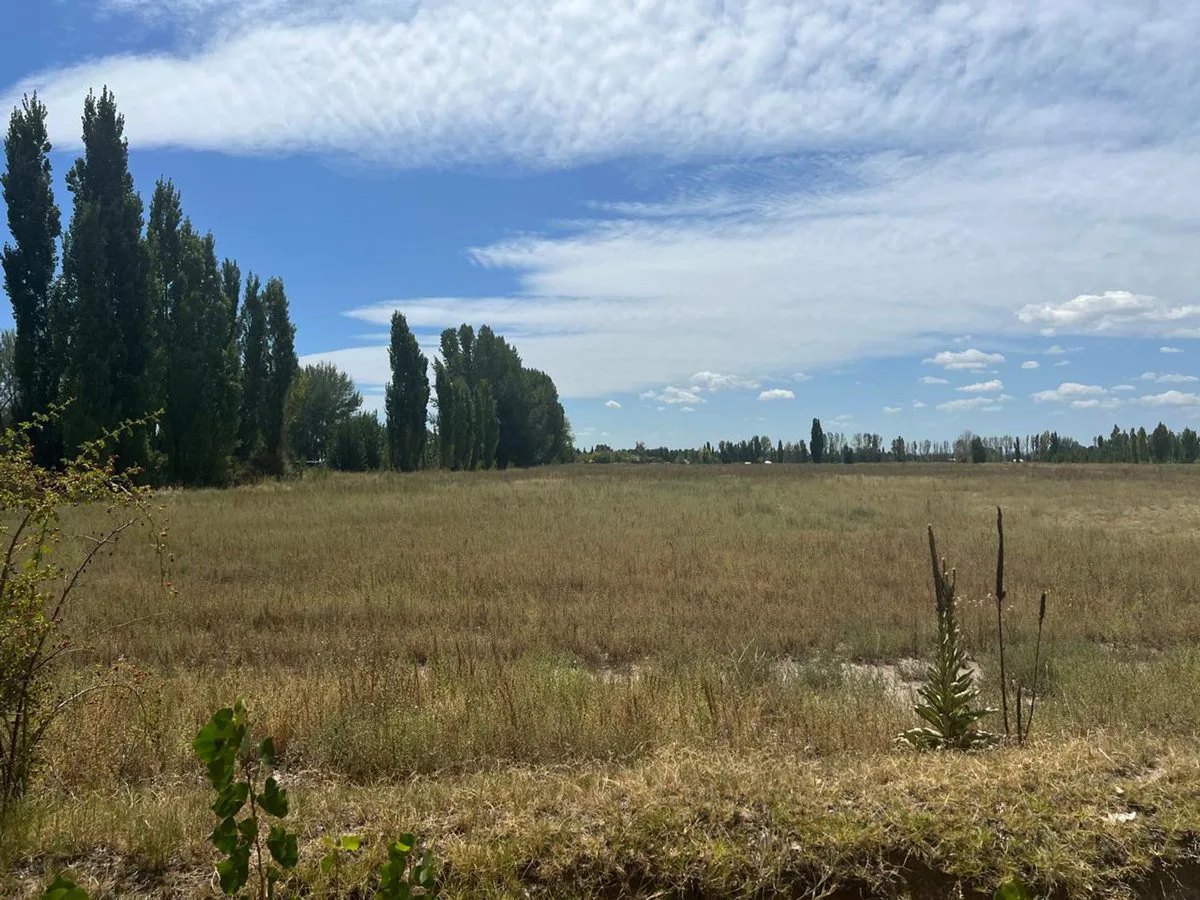 Lote 44.878 m2 foto 2