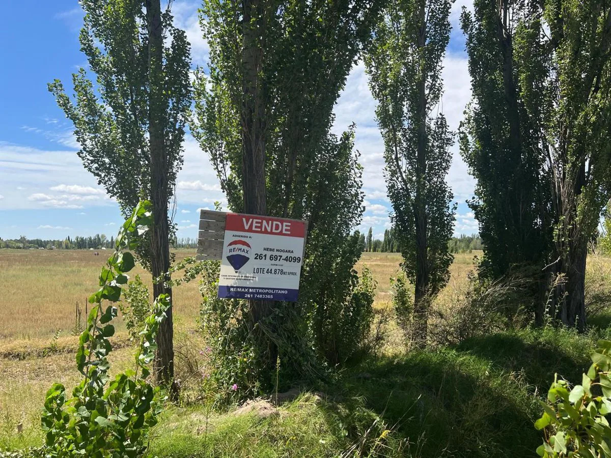 Lote 44.878 m2 foto 3