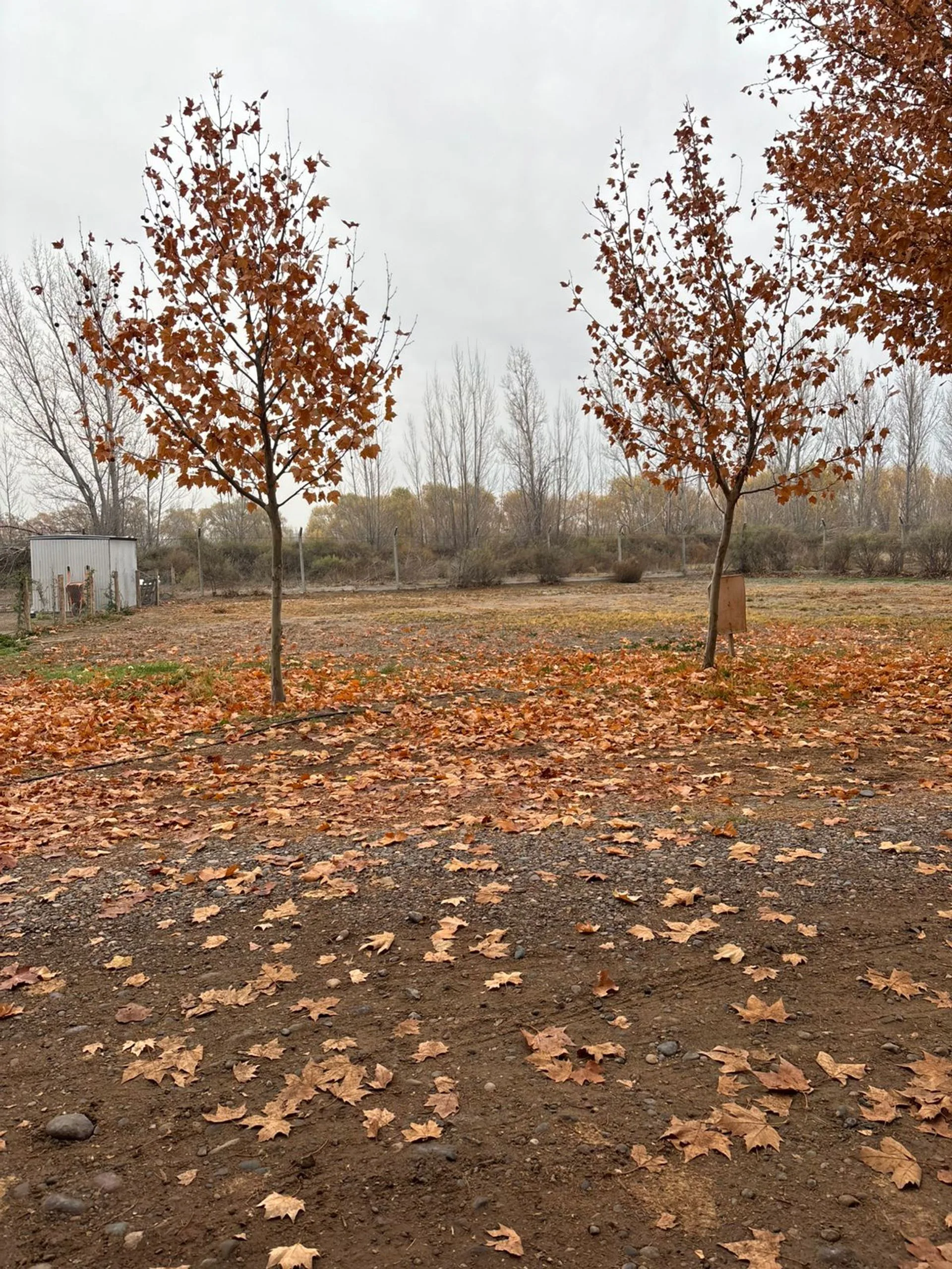 VENTA LOTE BARRIO PRIVADO GRAND PARC foto 3