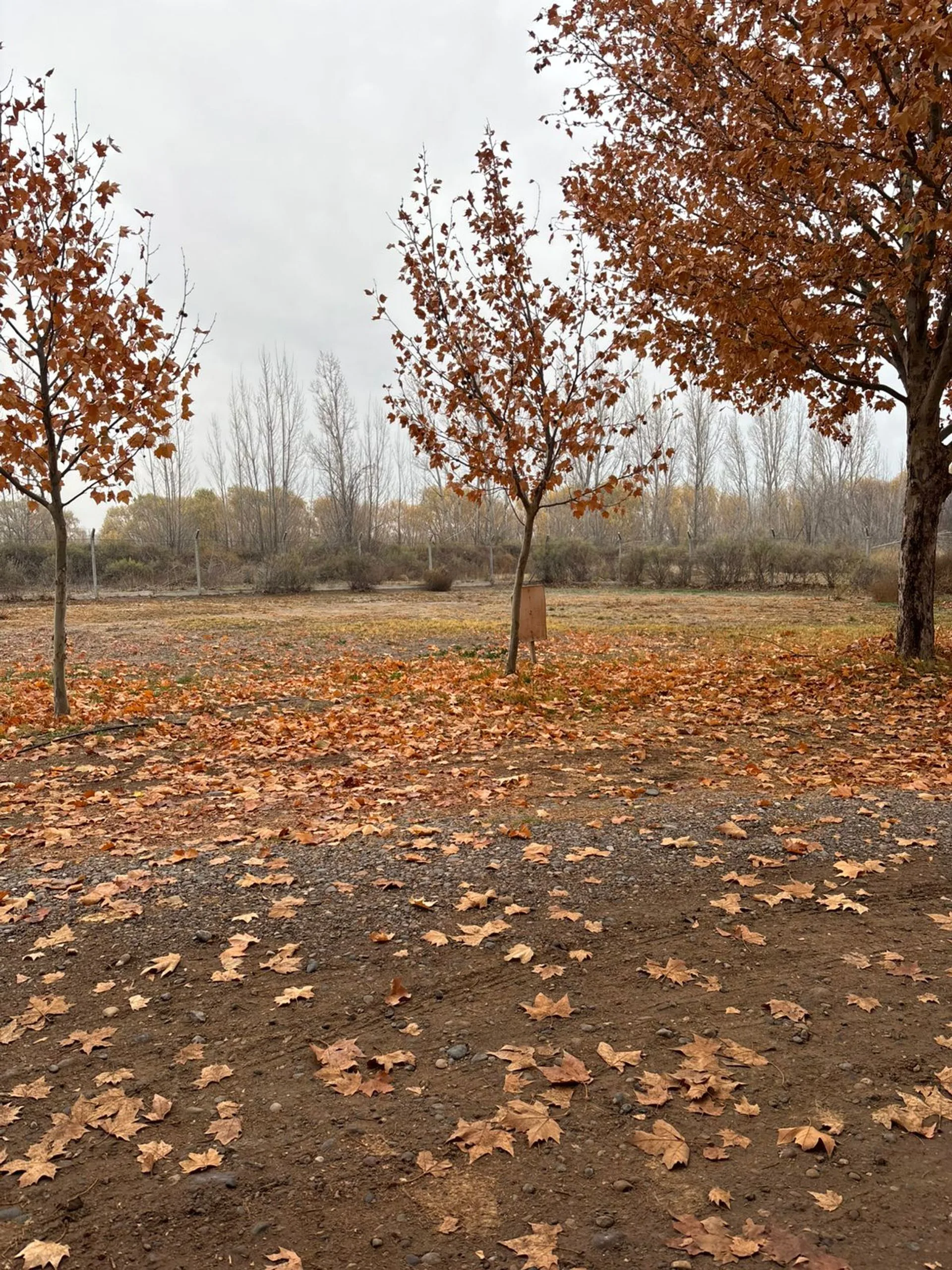 VENTA LOTE BARRIO PRIVADO GRAND PARC foto 4