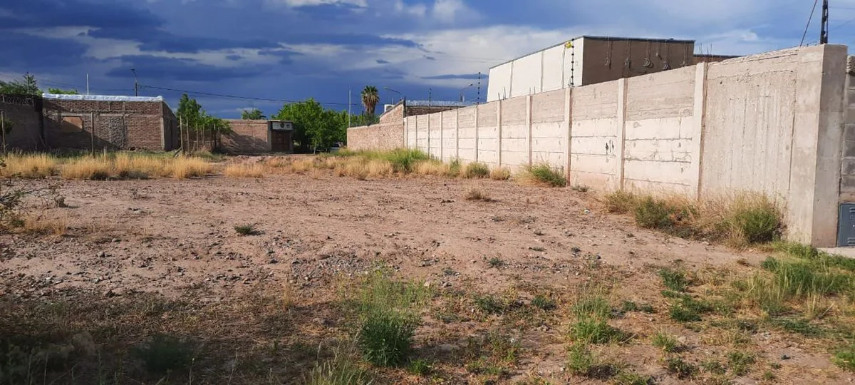 LOTE EN VENTA 240m2, aprox  PERDRIEL LUJAN DE CUYO foto 3