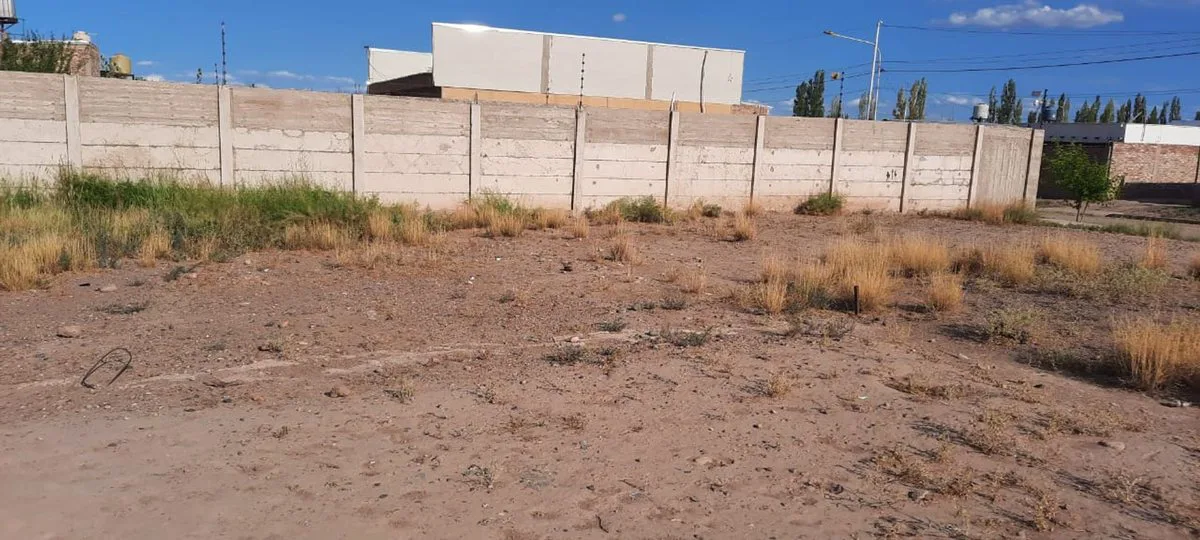 LOTE EN VENTA 240m2, aprox  PERDRIEL LUJAN DE CUYO foto 4