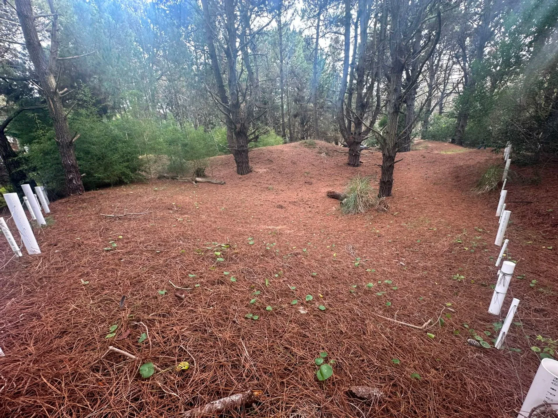 LOTE CERCA DEL MAR VENTA COSTA DEL ESTE