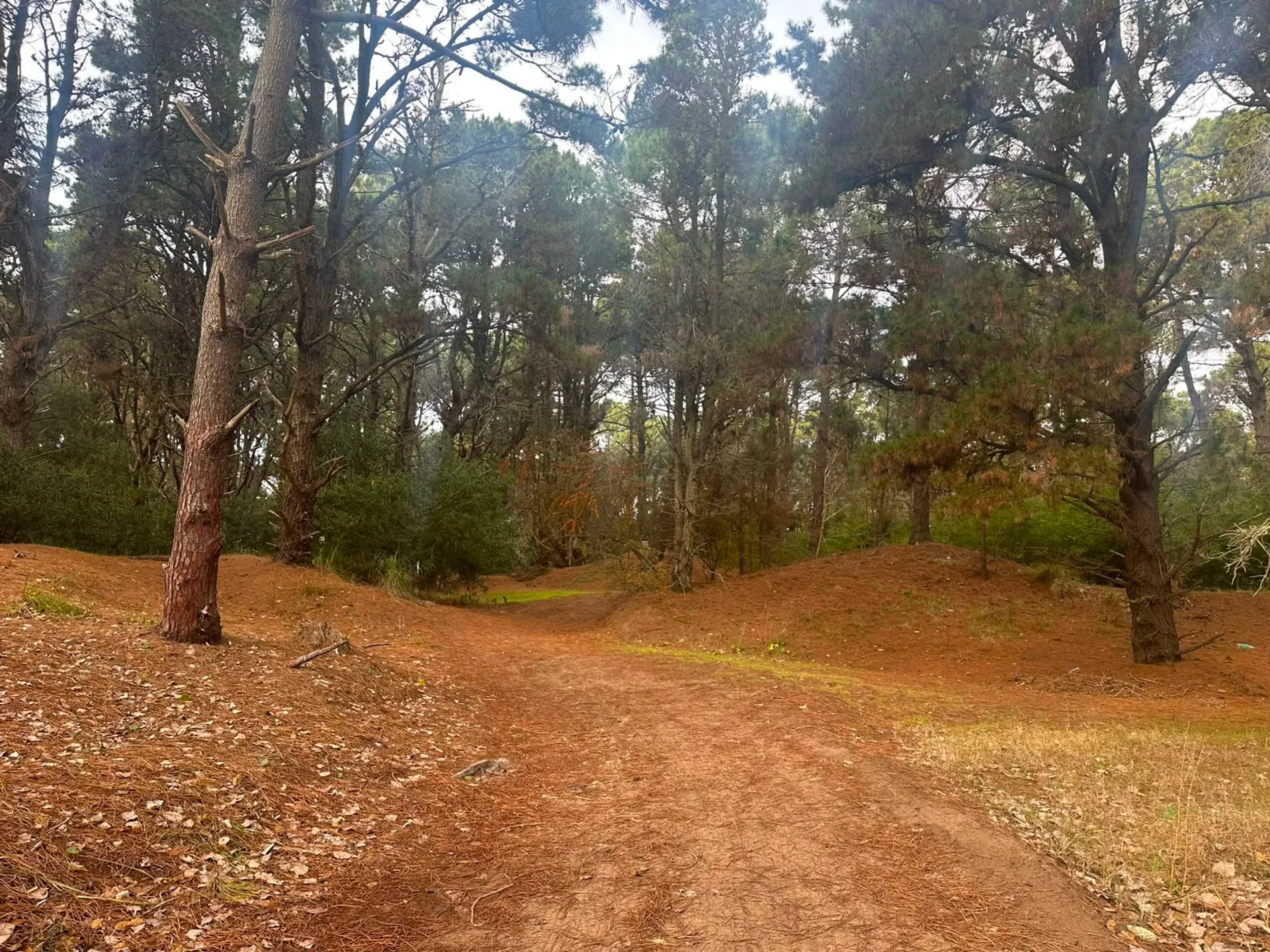 LOTE CERCA DEL MAR VENTA COSTA DEL ESTE foto 4