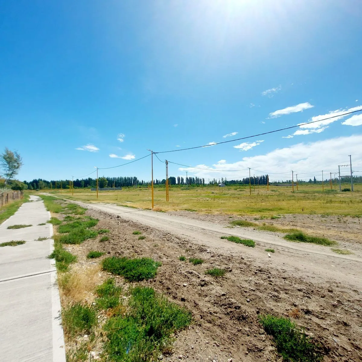 TERRENO EN VENTA EN LA RUFINA I EN CERVANTES