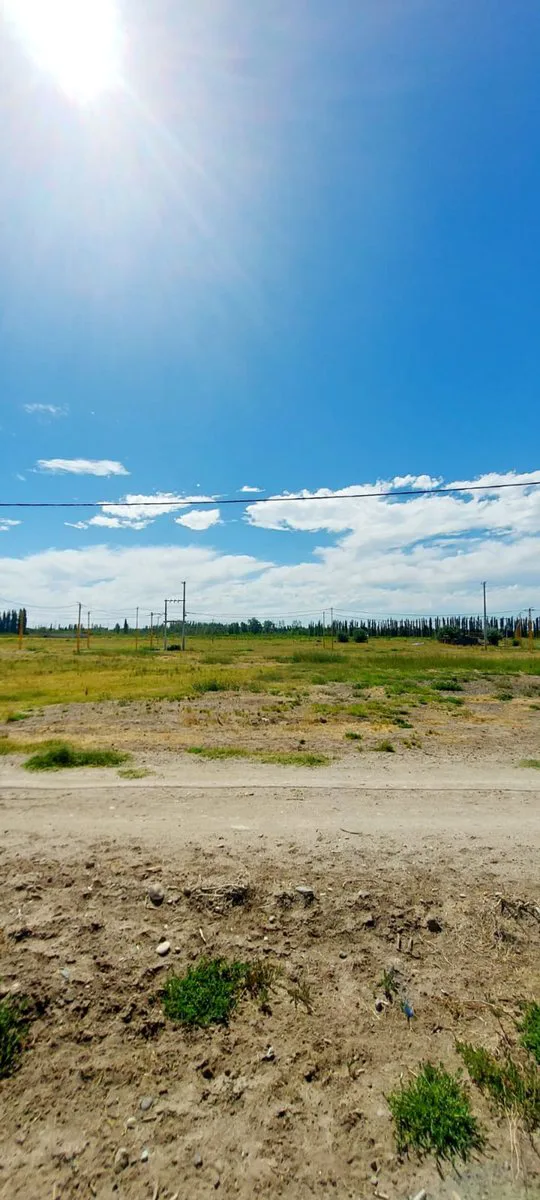 TERRENO EN VENTA EN LA RUFINA I EN CERVANTES foto 2