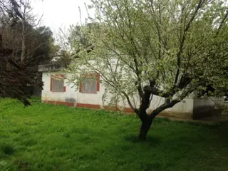 Gran chacra en Arturo Segui foto 3