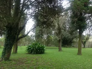 Gran chacra en Arturo Segui foto 4