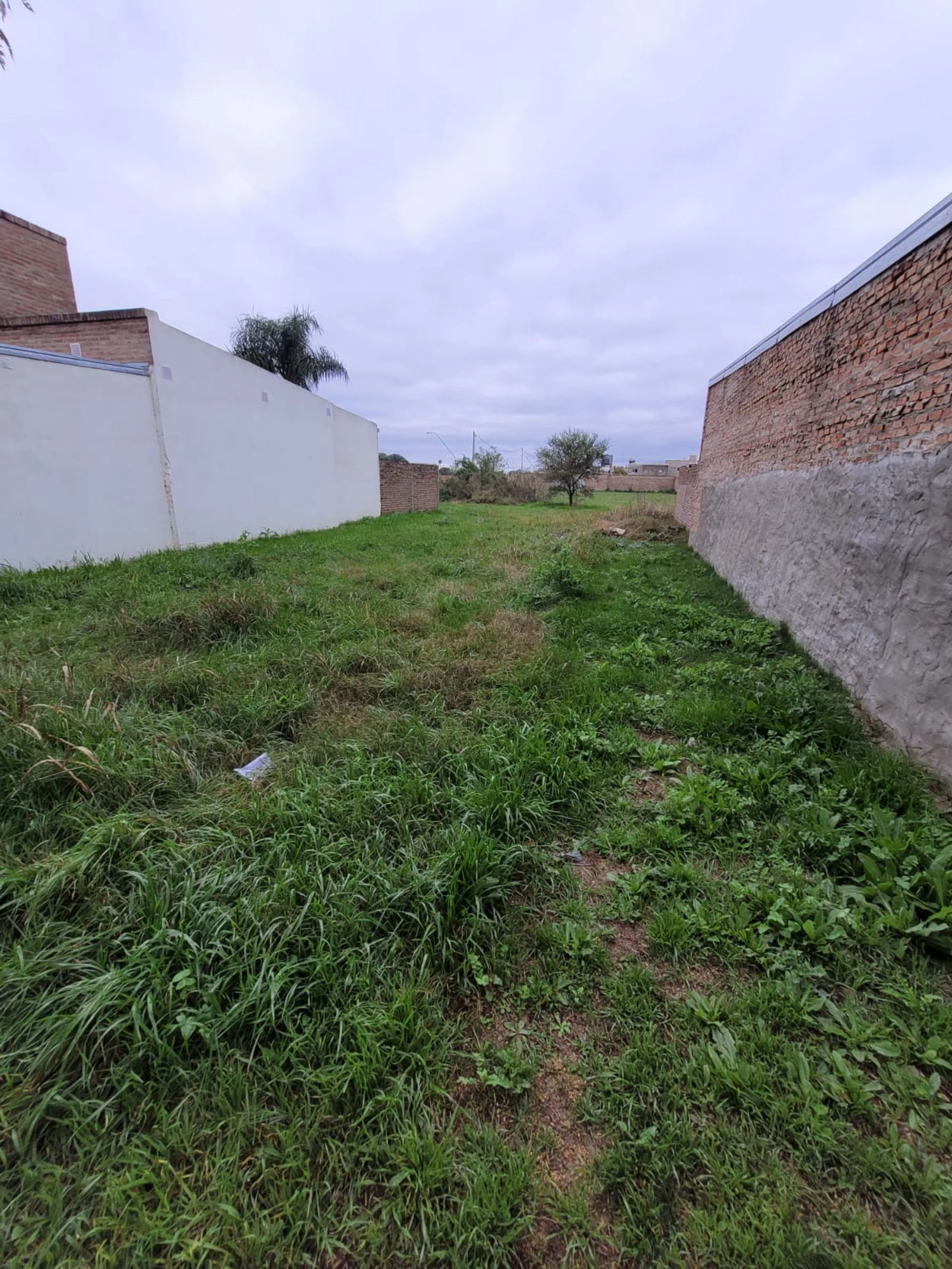 SE VENDE TERRENO EN SANTO TOMÉ foto 2