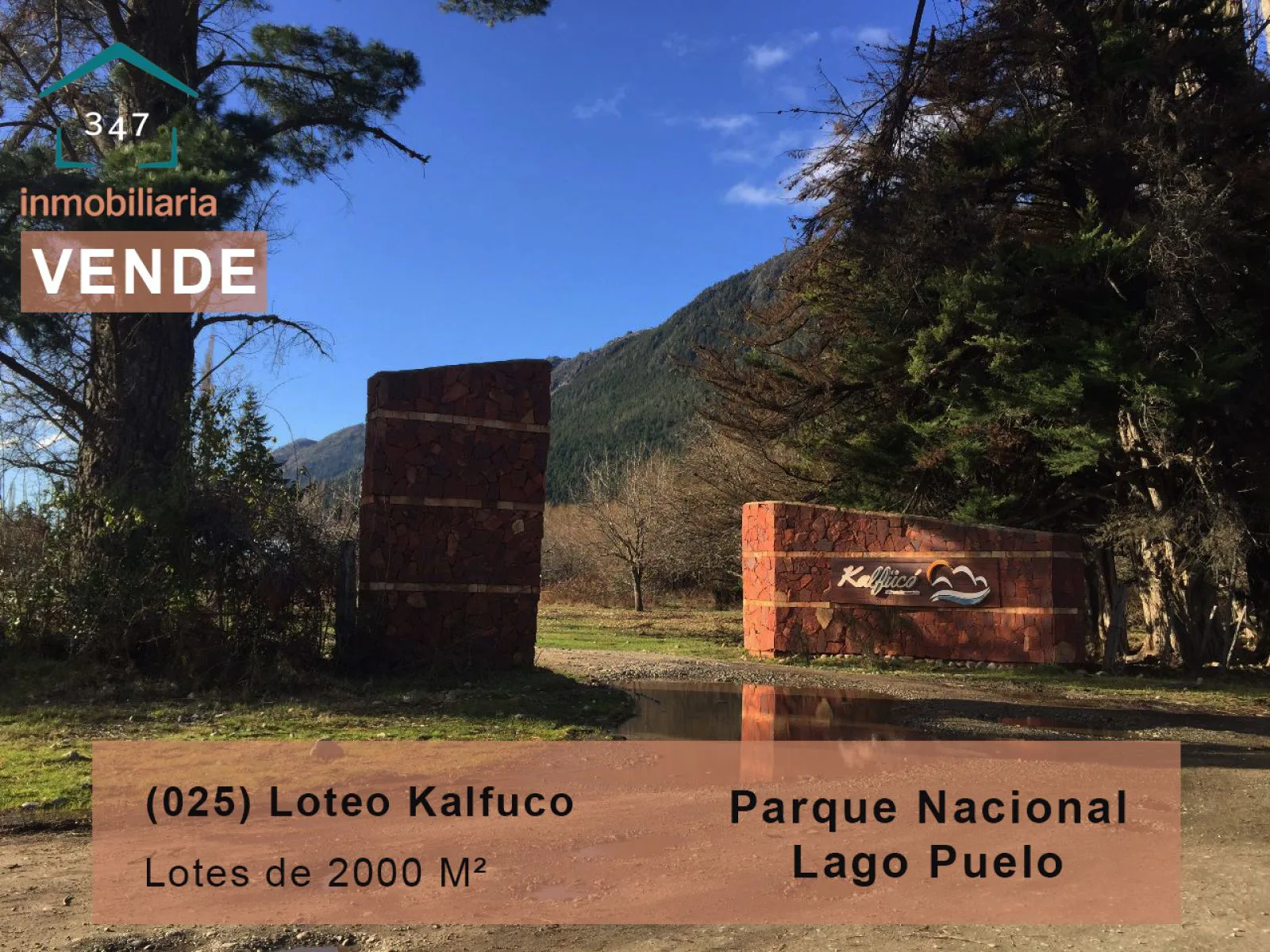 (025) LAGO PUELO (a metros del PNLP) lotes de 2000mtrs2 usd$52.000 y de 1.000mts (en condominio en usd$32.000)