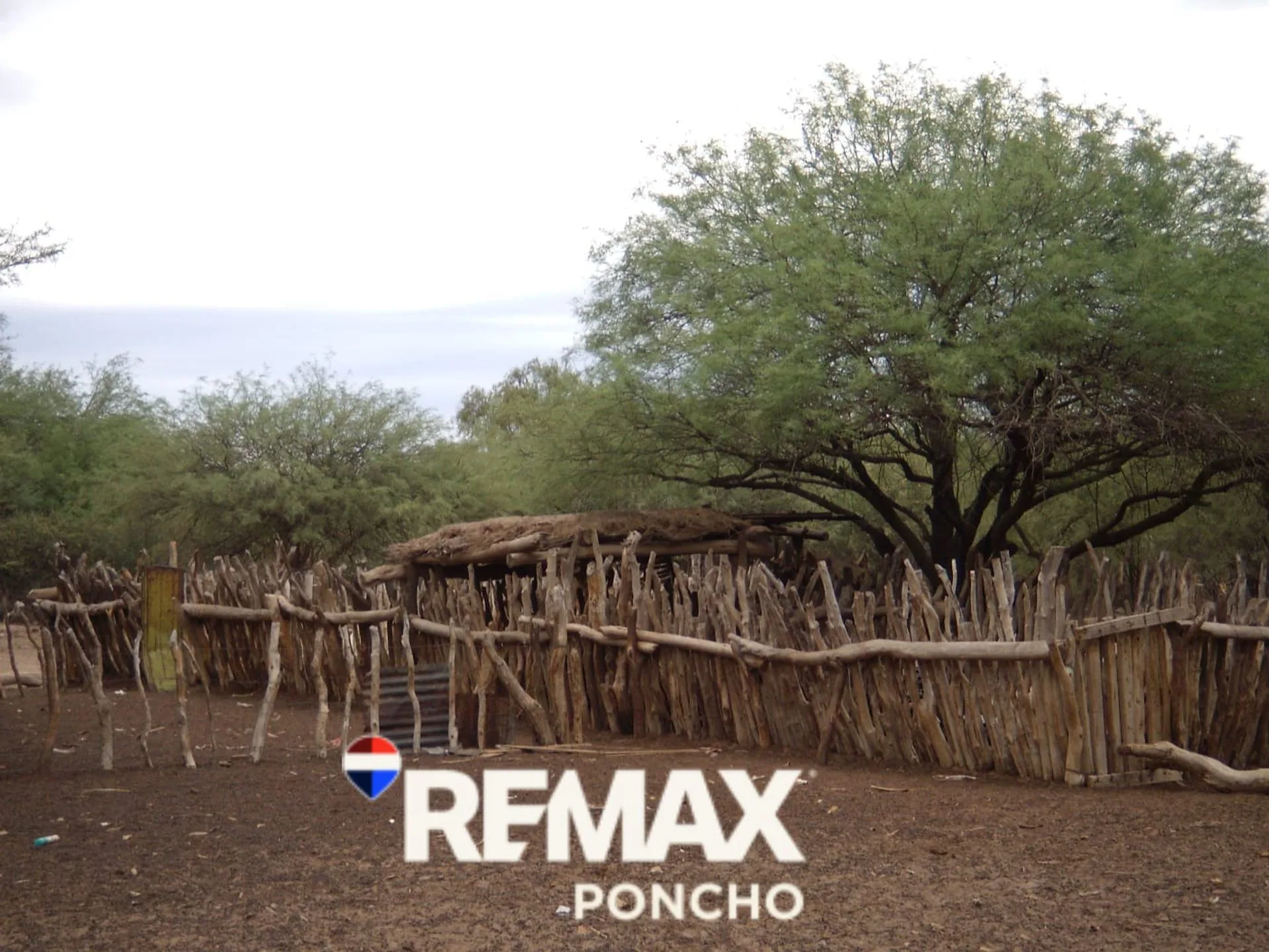 SE VENDE CAMPOS EN SAN MARTIN - CAPAYAN - RUTA 33 foto 4
