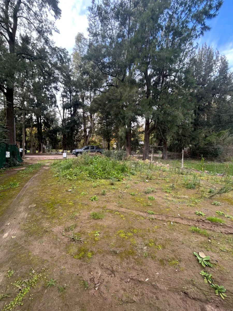 VTA DE LOTE CON MEJORAS-Barrio Pque. La Esmeralda- PILAR ofrece FINANCIACIÓN! foto 3