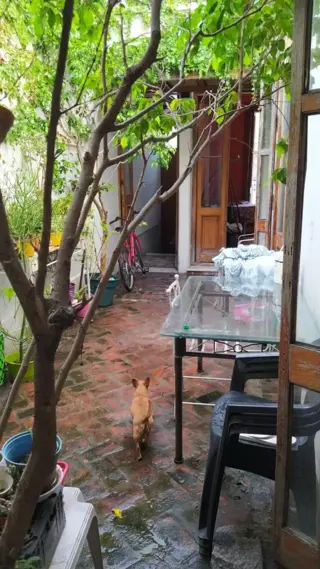 Casa de 5 Ambientes, Patio Y Terraza Con Parrilla. foto 5