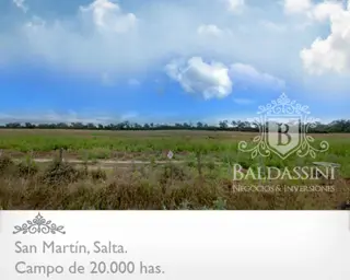 CAMPO MIXTO DE 20.422 HAS EN SAN MARTÍN, PROVINCIA DE SALTA. ALTAMENTE PRODUCTIVO. EQUIPADO Y ARMADO. LADO SUR CON FRONTERA A BOLIVIA. CON PISTA DE AT foto 1