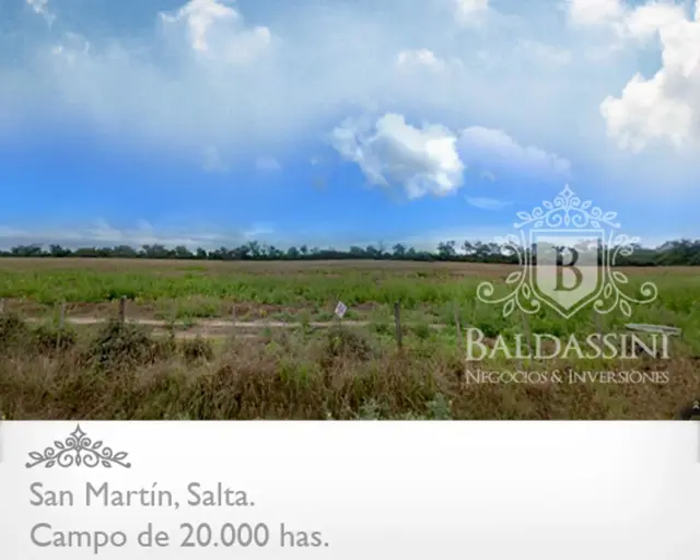 CAMPO MIXTO DE 20.422 HAS EN SAN MARTÍN, PROVINCIA DE SALTA. ALTAMENTE PRODUCTIVO. EQUIPADO Y ARMADO. LADO SUR CON FRONTERA A BOLIVIA. CON PISTA DE AT