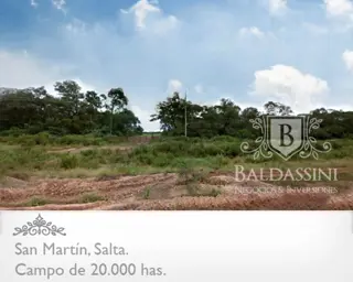 CAMPO MIXTO DE 20.422 HAS EN SAN MARTÍN, PROVINCIA DE SALTA. ALTAMENTE PRODUCTIVO. EQUIPADO Y ARMADO. LADO SUR CON FRONTERA A BOLIVIA. CON PISTA DE AT foto 2