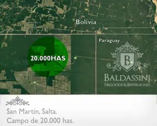 CAMPO MIXTO DE 20.422 HAS EN SAN MARTÍN, PROVINCIA DE SALTA. ALTAMENTE PRODUCTIVO. EQUIPADO Y ARMADO. LADO SUR CON FRONTERA A BOLIVIA. CON PISTA DE AT foto 4