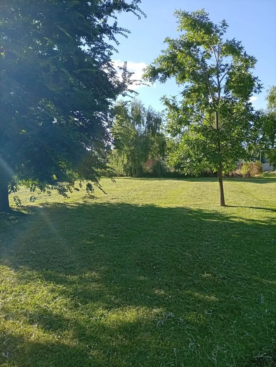 VENTA LOTE GRAL RODRIGUEZ 774 METROS CUADRADOS foto 2