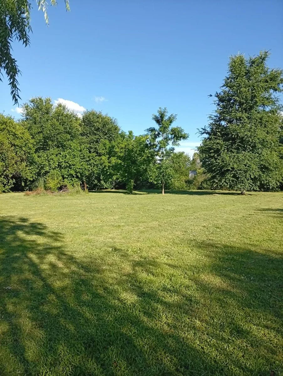 VENTA LOTE GRAL RODRIGUEZ 774 METROS CUADRADOS foto 4