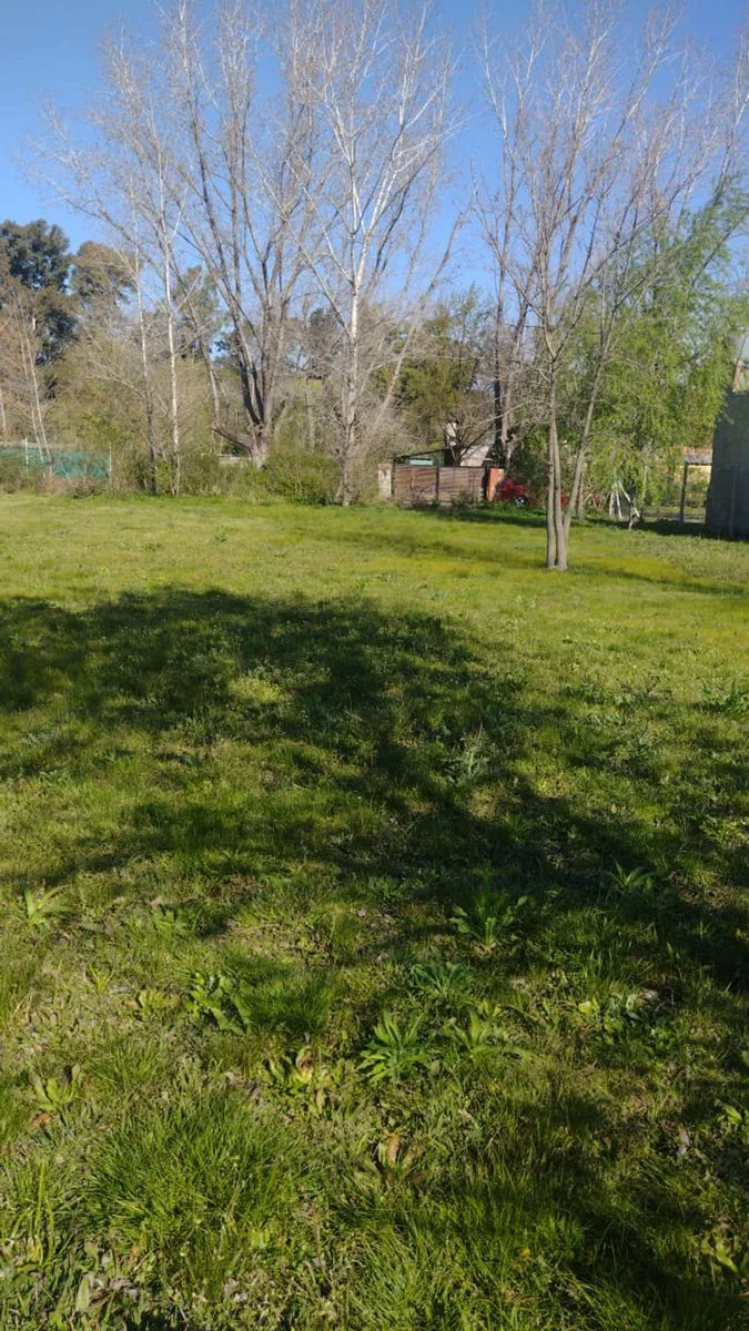 VENTA LOTE GRAL RODRIGUEZ 774 METROS CUADRADOS foto 5