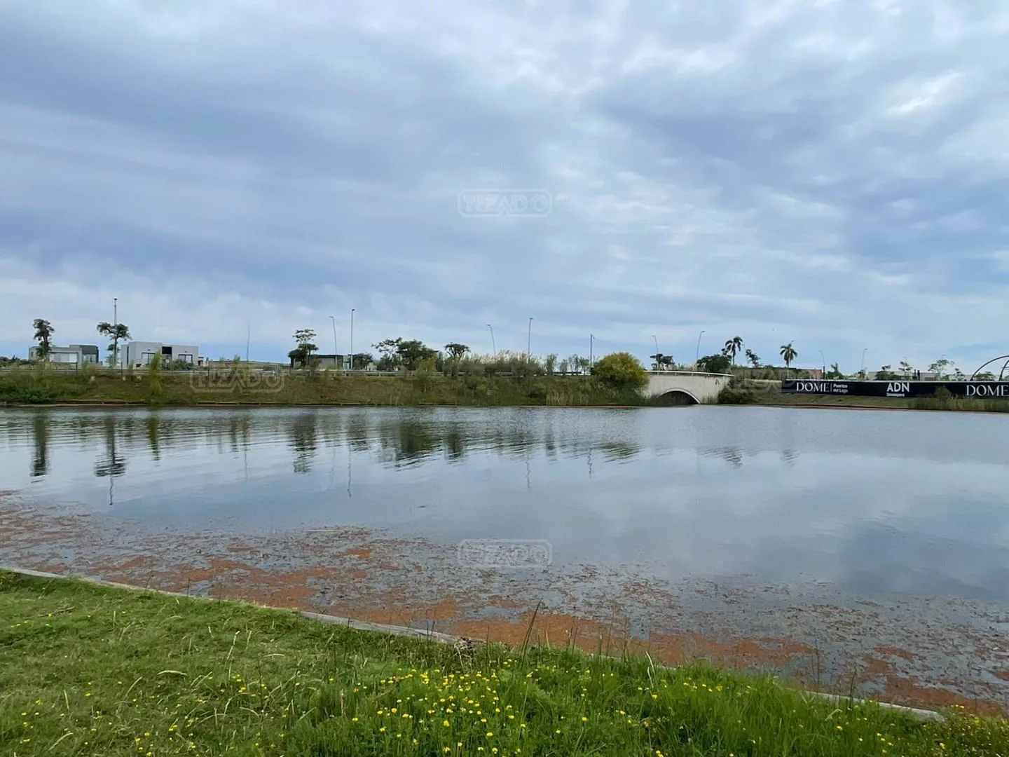 Muelles 100 foto 4