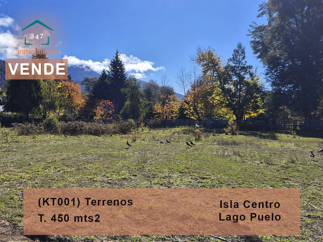 OPORTUNIDAD!!!! LAGO PUELO Isla Centro, TERRENOS desde 450 mts2