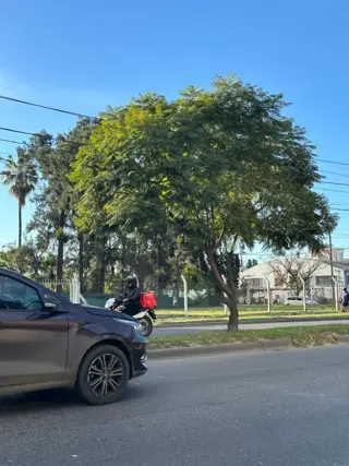 Excelente oportunidad: terreno en excelente esquina foto 5