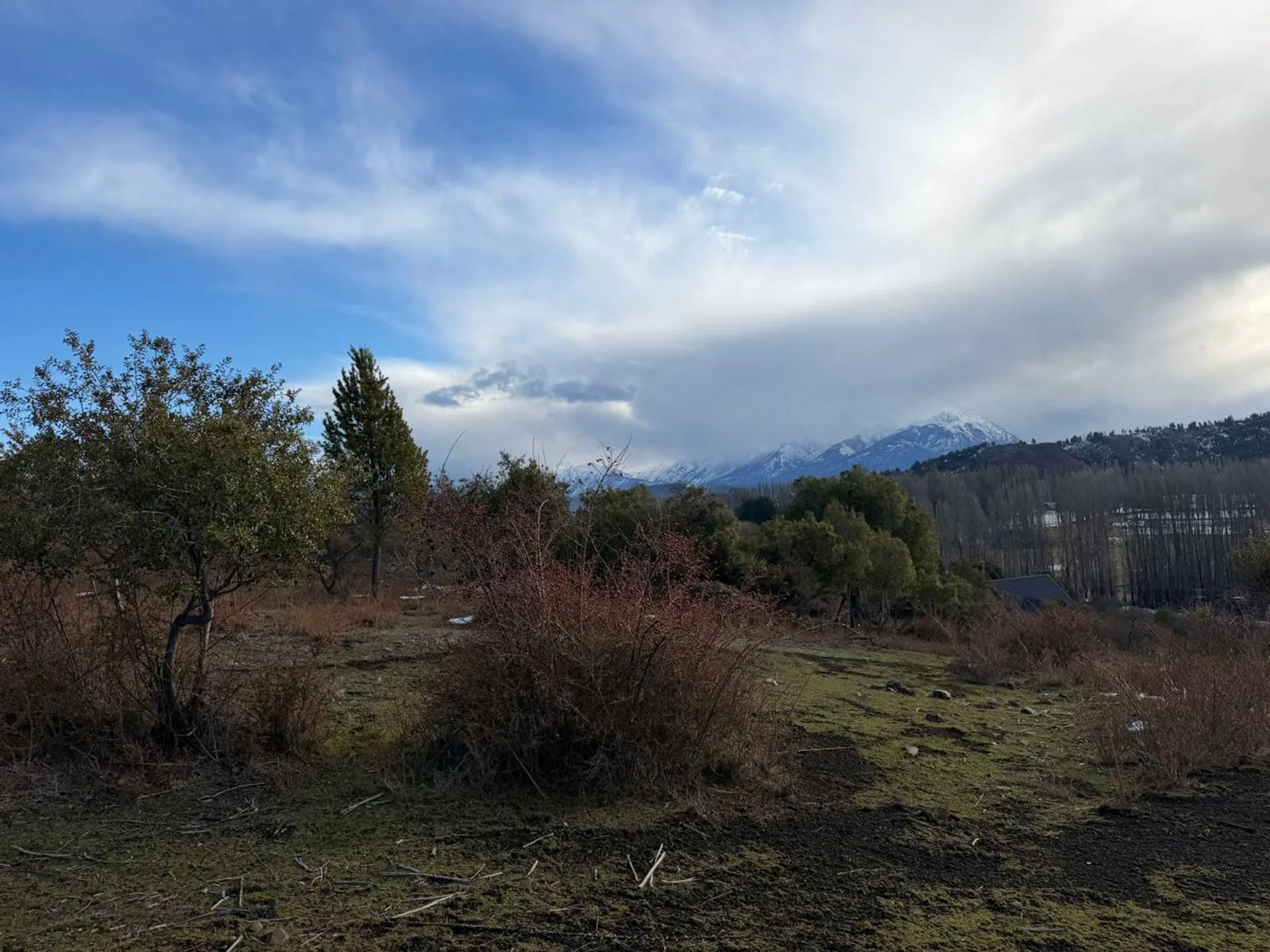 TERRENO CON VISTA PANORÁMICA AL LAGO PELLEGRINI foto 4