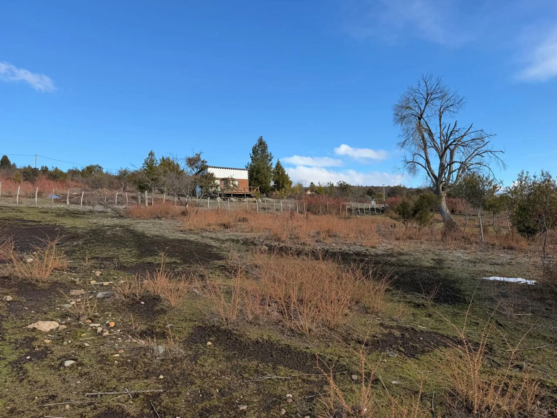 TERRENO CON VISTA PANORÁMICA AL LAGO PELLEGRINI foto 5