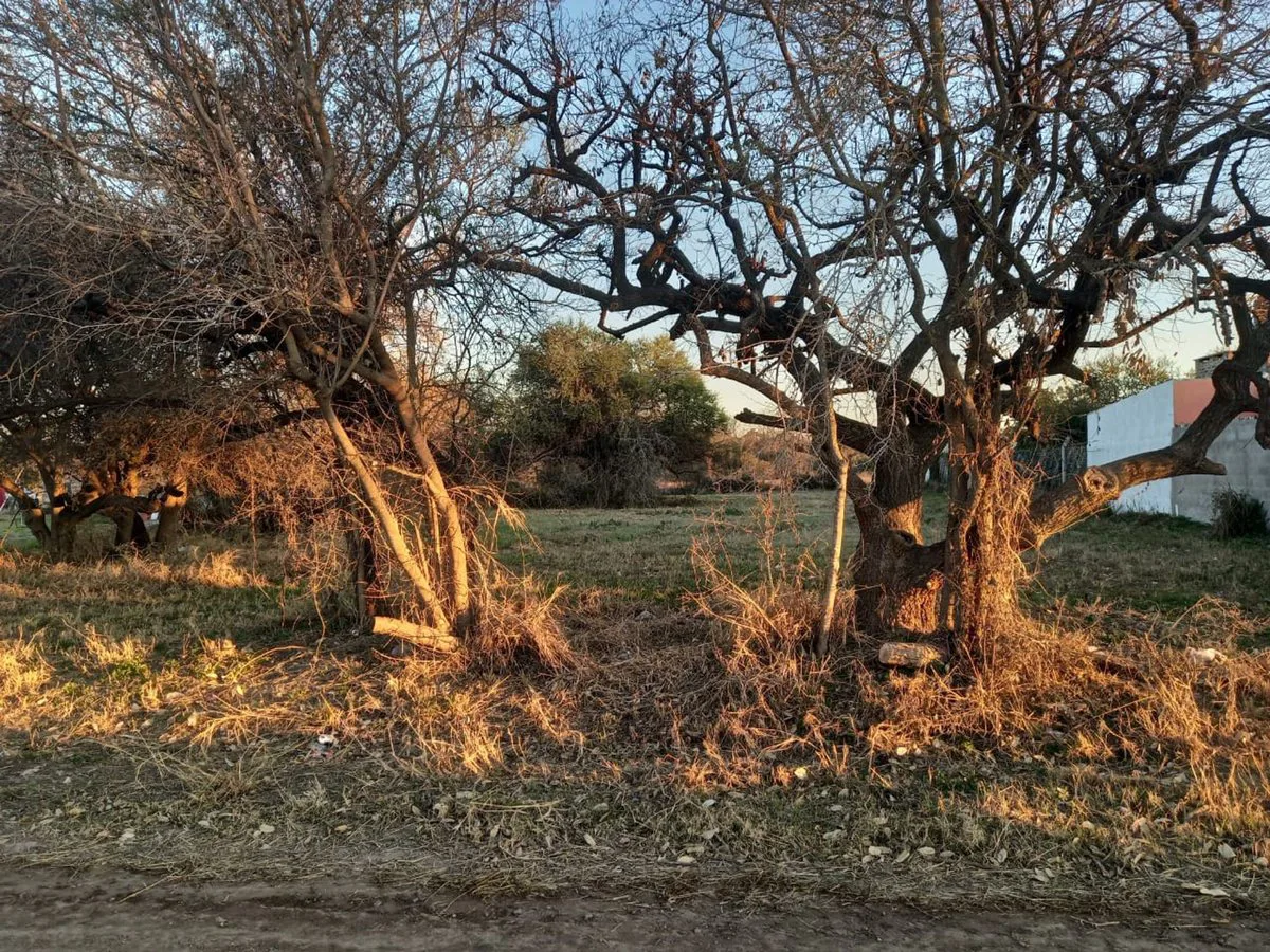 TERRENO EN SAUCE VIEJO A 100 MTS DE LA RUTA 11 foto 5