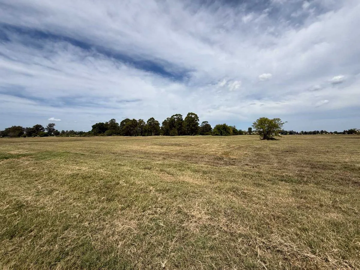 LOTE EN PINARES COUNTRY CLUB foto 3