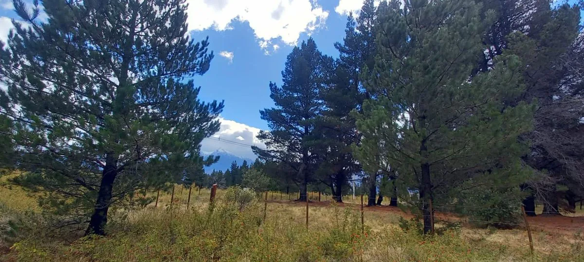 Terreno de 9.894 m² en Epuyén con acceso directo foto 3