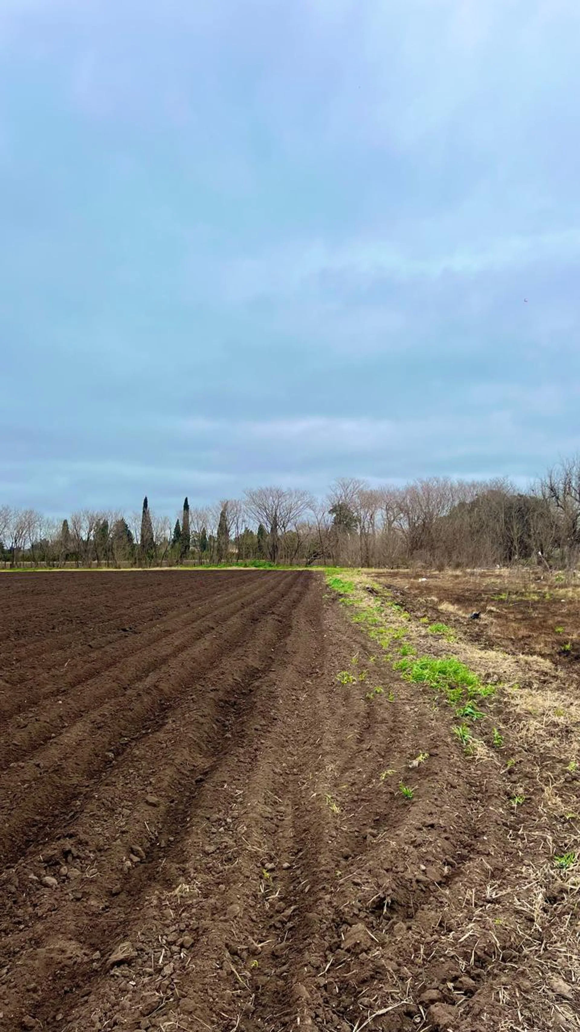 VENTA 3 HECTAREAS PEREZ- OPORTUNIDAD INVERSION foto 4