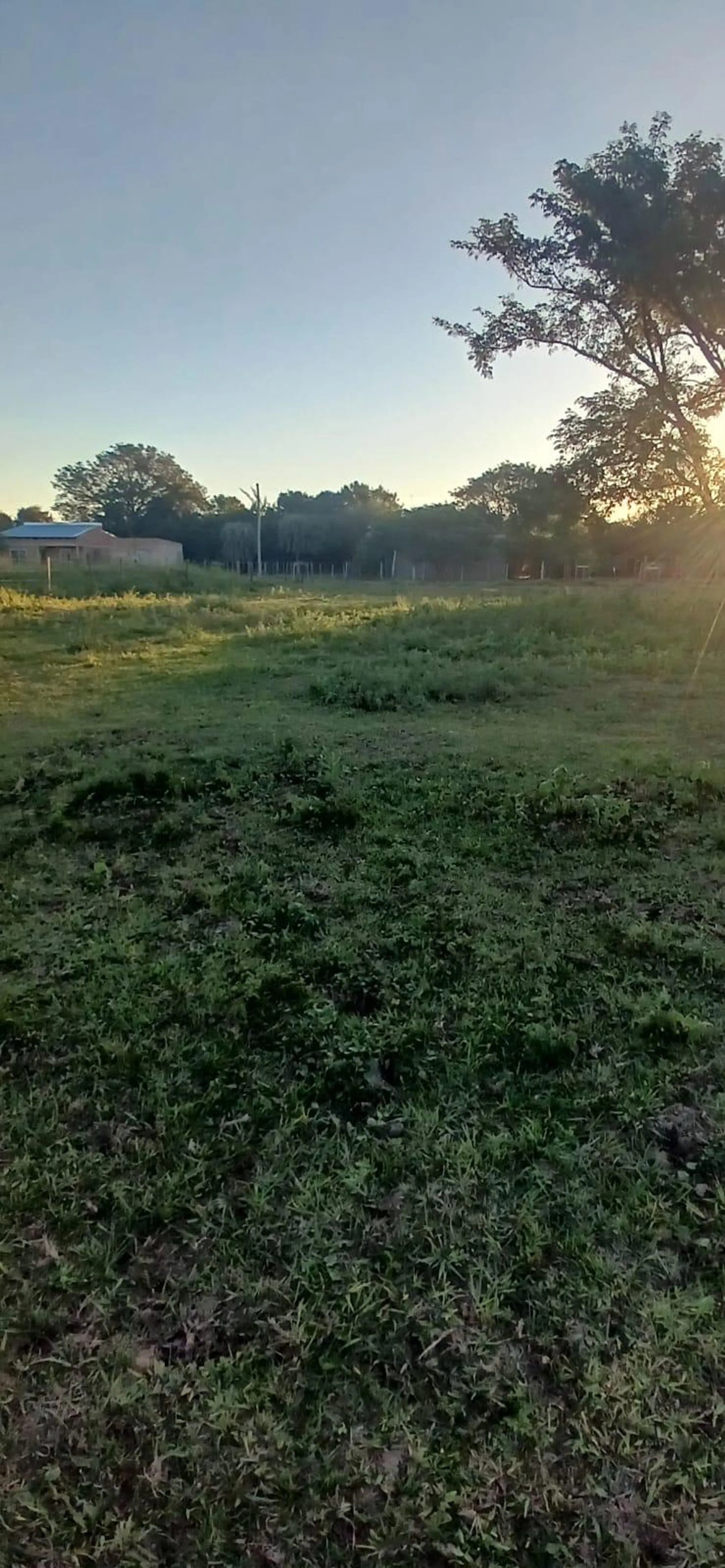 Terreno en venta en Yatay Ti Calle foto 3