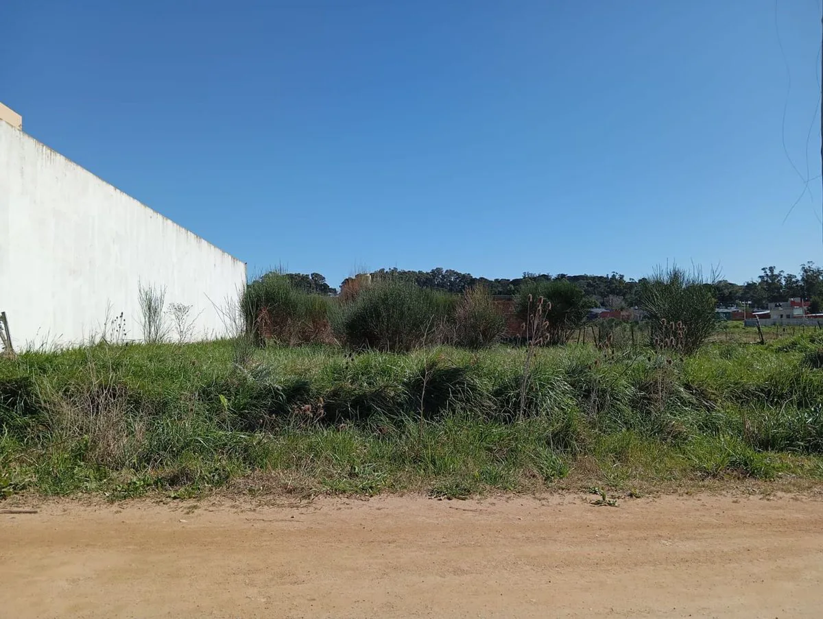 LOTE EN VENTA ZONA SIERRA LA BARROSA BALCARCE foto 2