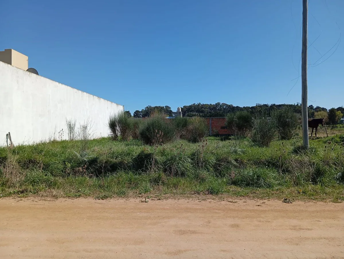 LOTE EN VENTA ZONA SIERRA LA BARROSA BALCARCE foto 4
