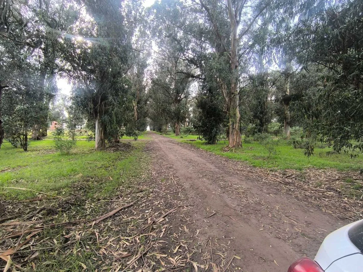 Venta Lote 300mts2 Calle 64 y 161 Necochea foto 5