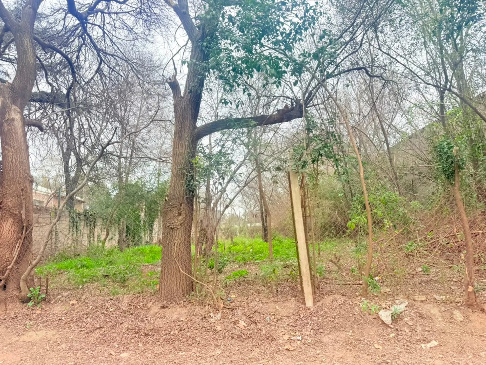 LOTE EN QUINTAS DE ARGUELLO 1528m2 foto 5