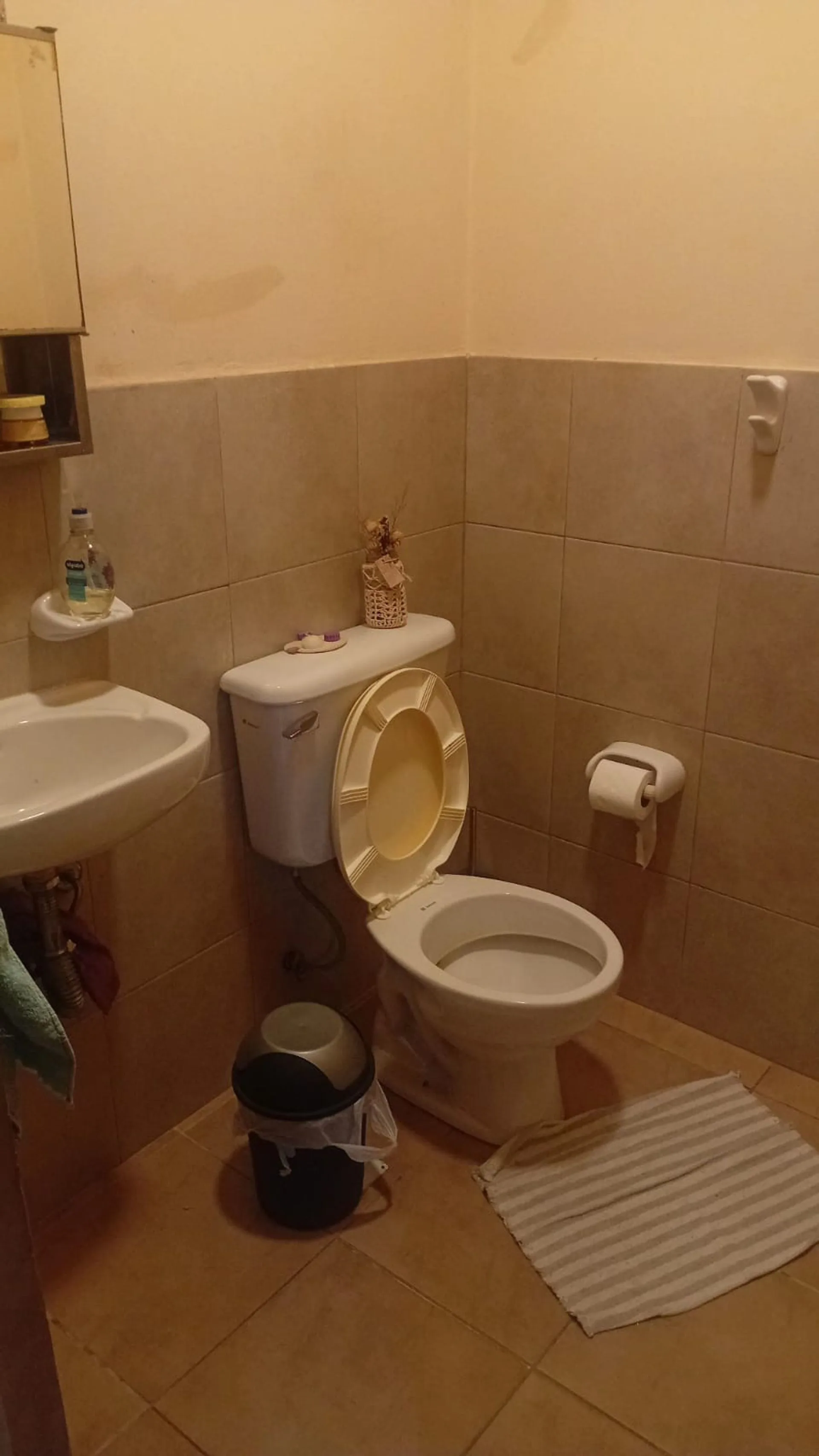 Casa 3 dormitorios y 3 baños, 2 plantas, Concordia foto 5